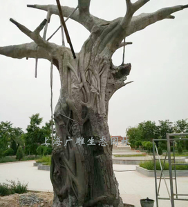 室外上海仿真樹施工現場